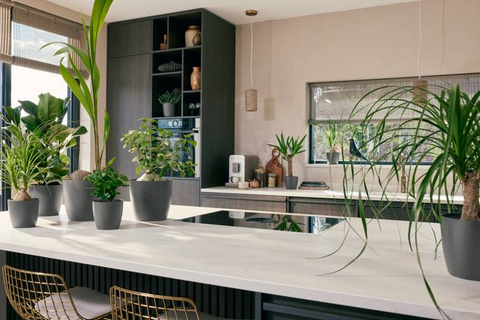 the coffee collection round 14cm espresso brown